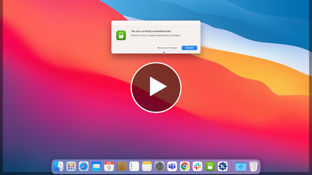 How to Use Privileges